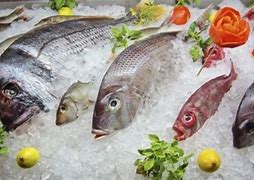 Cuánto tiempo tarda en descongelarse el pescado en el refrigerador - El  Diario NY
