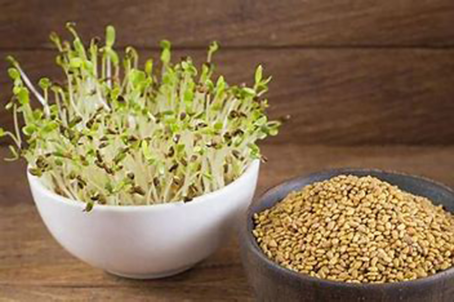  La alfalfa tiene una gran cantidad de nutrientes que pueden ayudar a aliviar algunas afecciones de salud